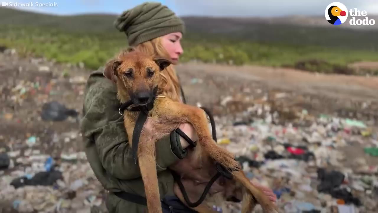 A woman wearing a green beanie holds a small brown dog calmly in her arms in a trash-filled area.