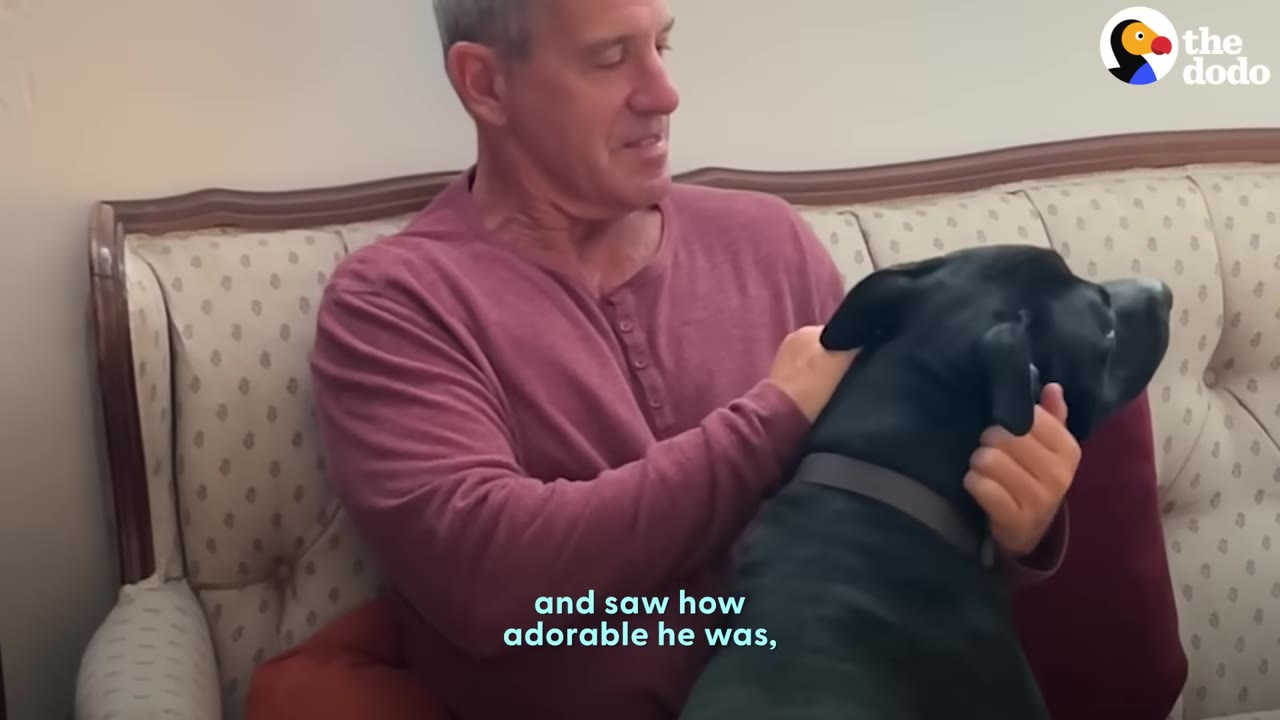 A man sitting on a sofa and gently petting a black dog.
