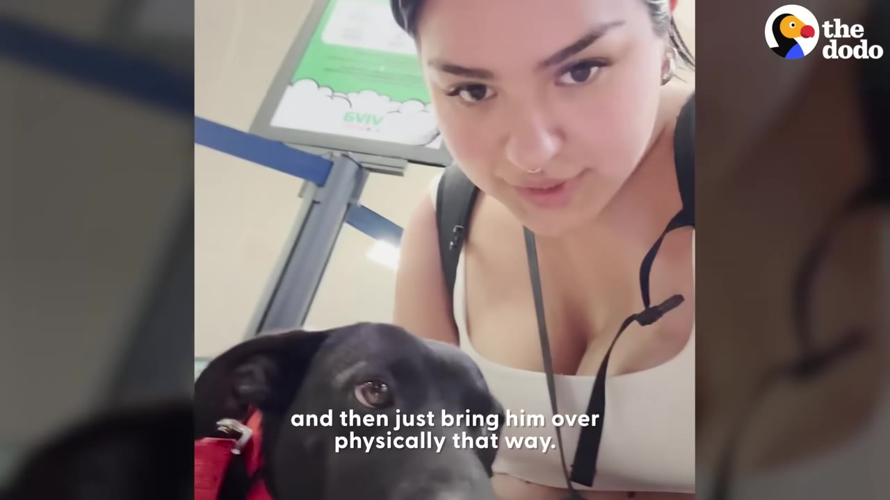 A woman taking a selfie with a black dog wearing a red harness indoors.