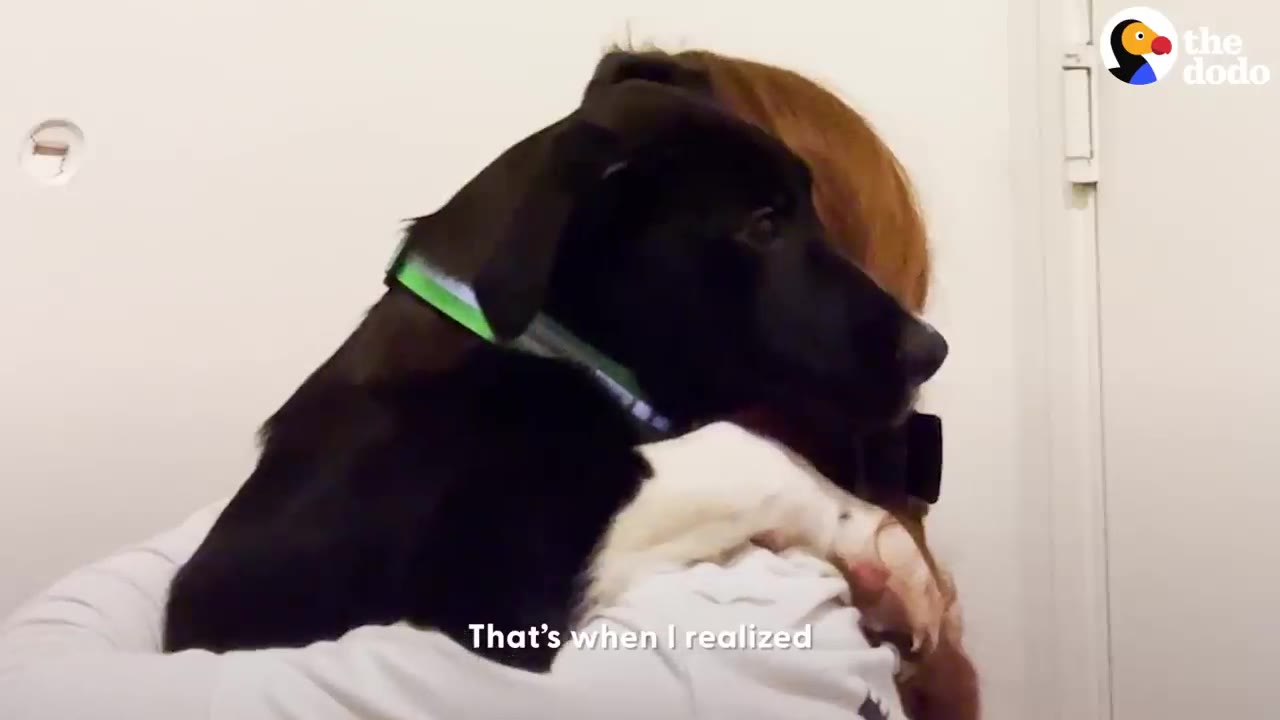 A black puppy resting its head snugly over the shoulder of a woman hugging it.