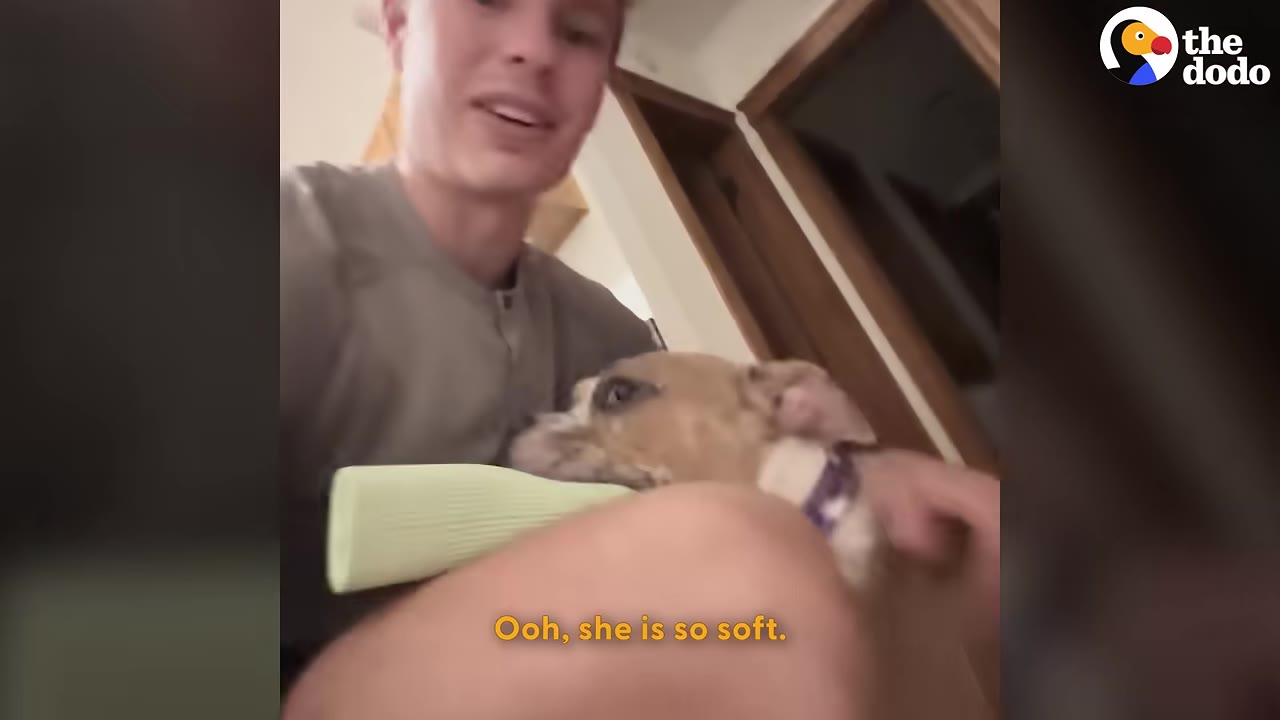 A young man holding a small brown and white dog who is chewing on a light green toy.