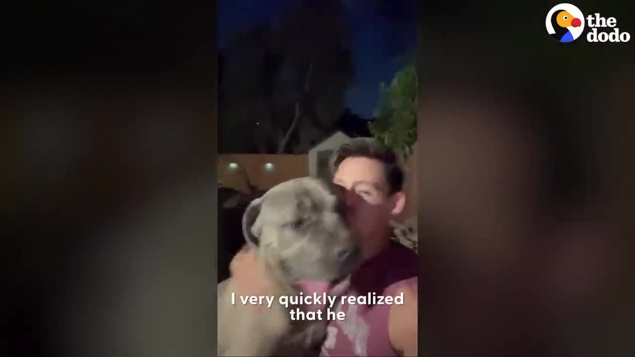 A man holding a large gray dog in his arms outdoors at night.
