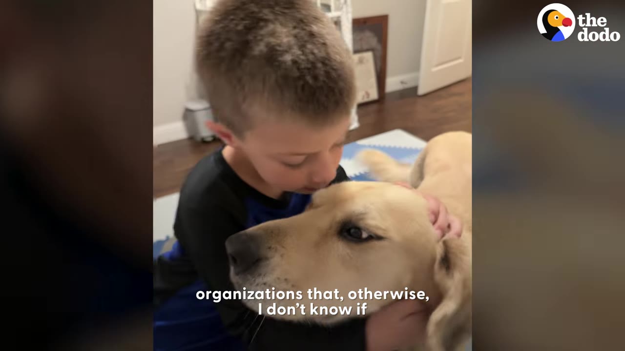 A young boy tenderly hugging a golden dog indoors.