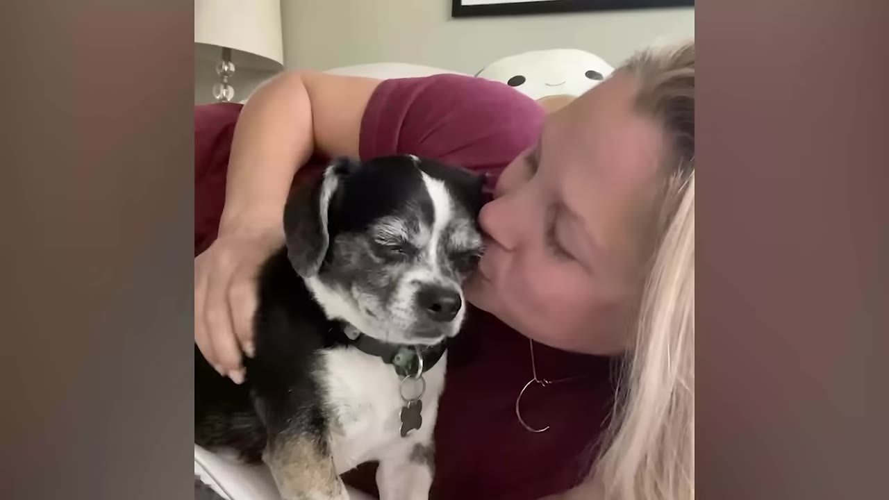 A woman with blonde hair kisses a small black and white dog named Oreo on the head while cuddling.