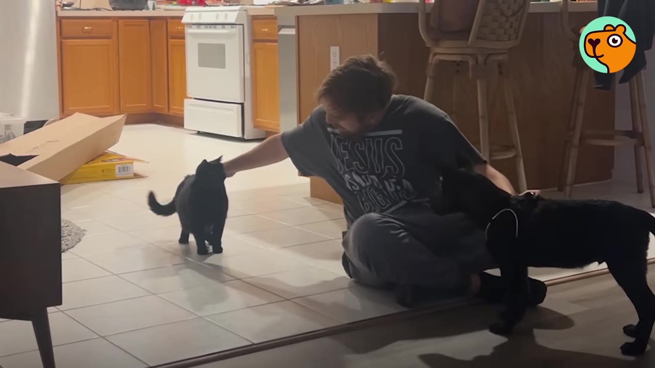 A man sits cross-legged on a tiled kitchen floor petting a black cat while a black dog stands beside him.