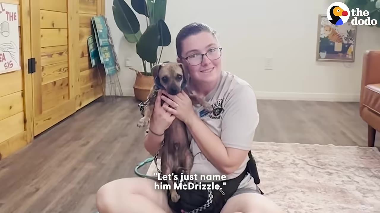 A woman wearing glasses and a grey t-shirt sits cross-legged on a rug, smiling as she holds a small brown dog in her arms. The subtitle reads, "Let's just name him McDrizzle."