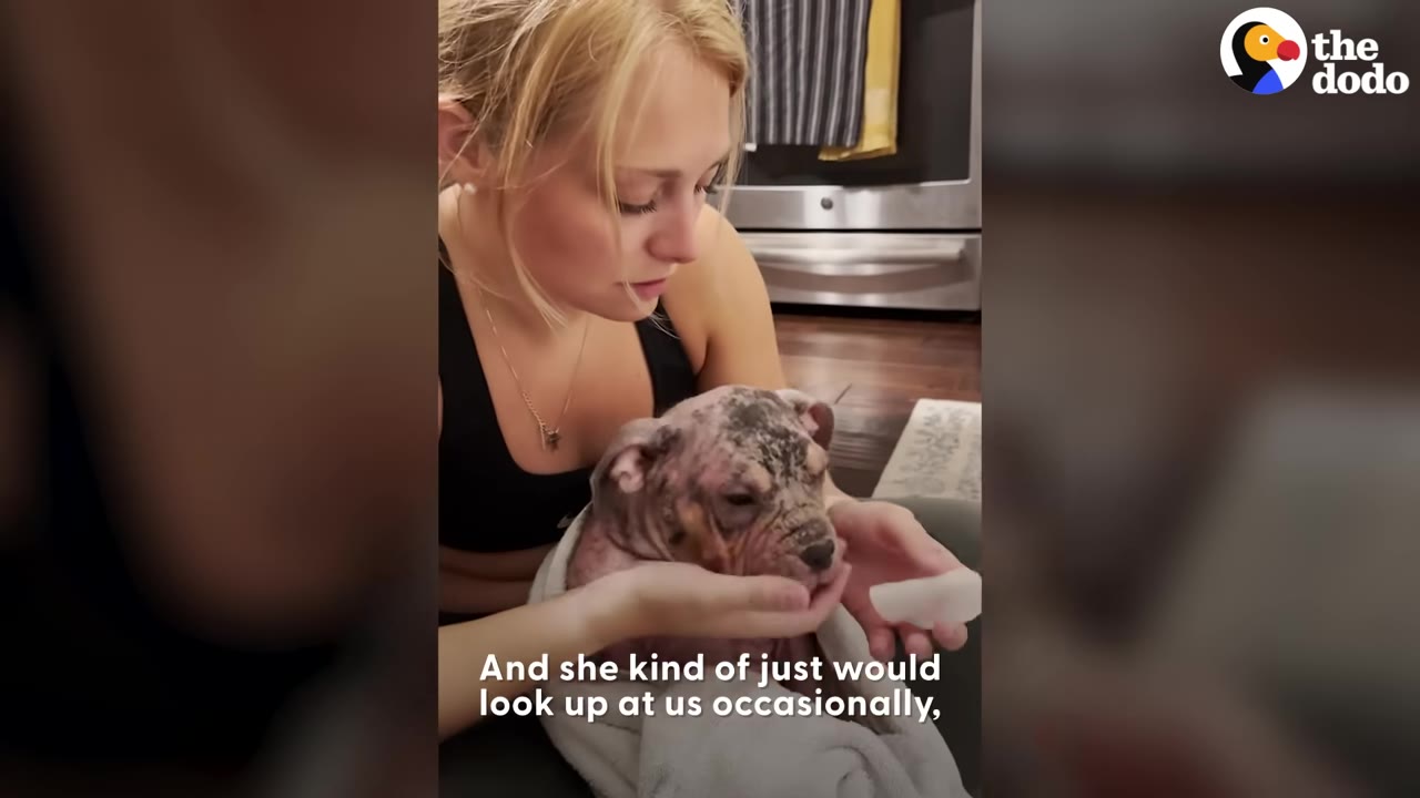 A woman gently holding and wiping a small puppy wrapped in a towel.