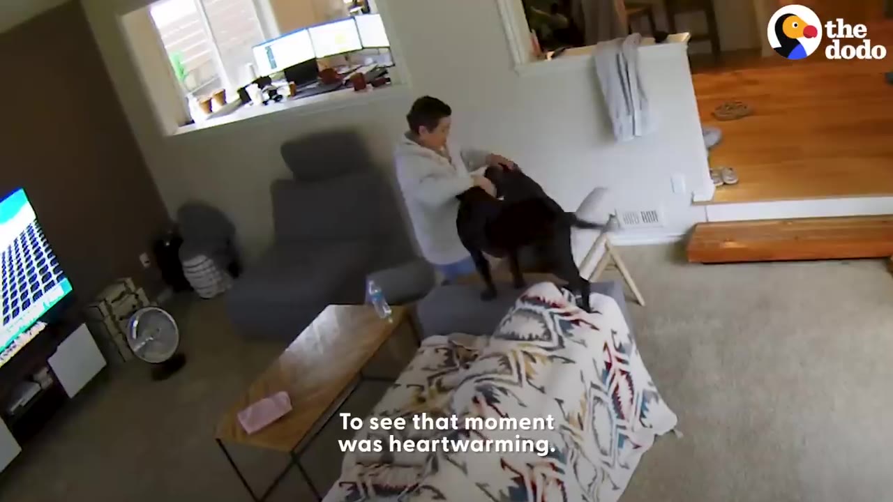 A person in a light hoodie hugging and petting a large black dog inside a living room.