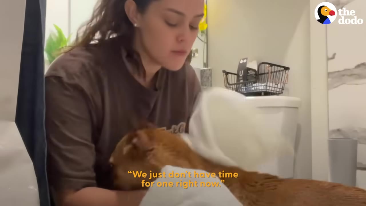 A woman sitting on the floor in a bathroom, holding and tending to a small brown dog wrapped in a towel.