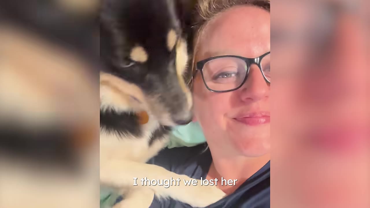 A close-up selfie of a smiling woman wearing glasses next to a black, white, and tan dog, with the caption 'I thought we lost her' overlaid at the bottom.