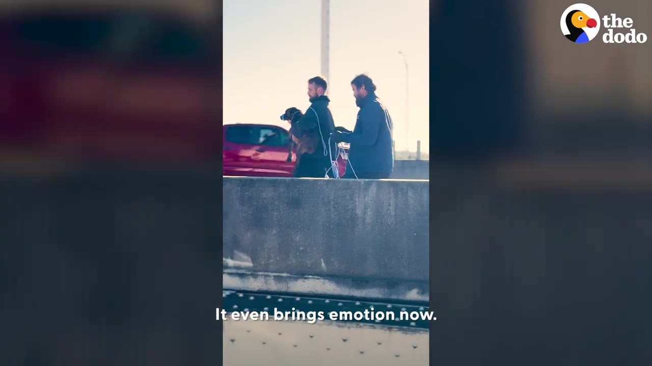 Two rescuers carry a dog with a leash wrapped around its muzzle along a bridge.