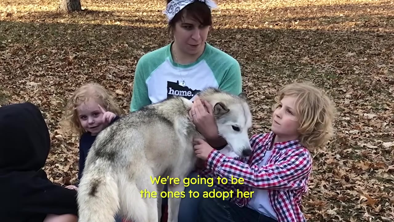 A woman and two children sit outdoors on dry leaves around a gray and white dog.