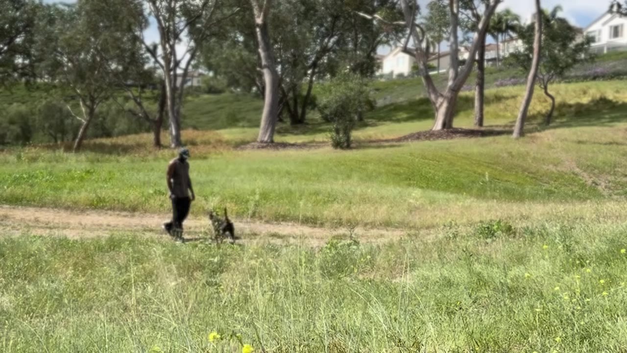 A man and his dog walking together along a dirt path in a wide, grassy field surrounded by trees.