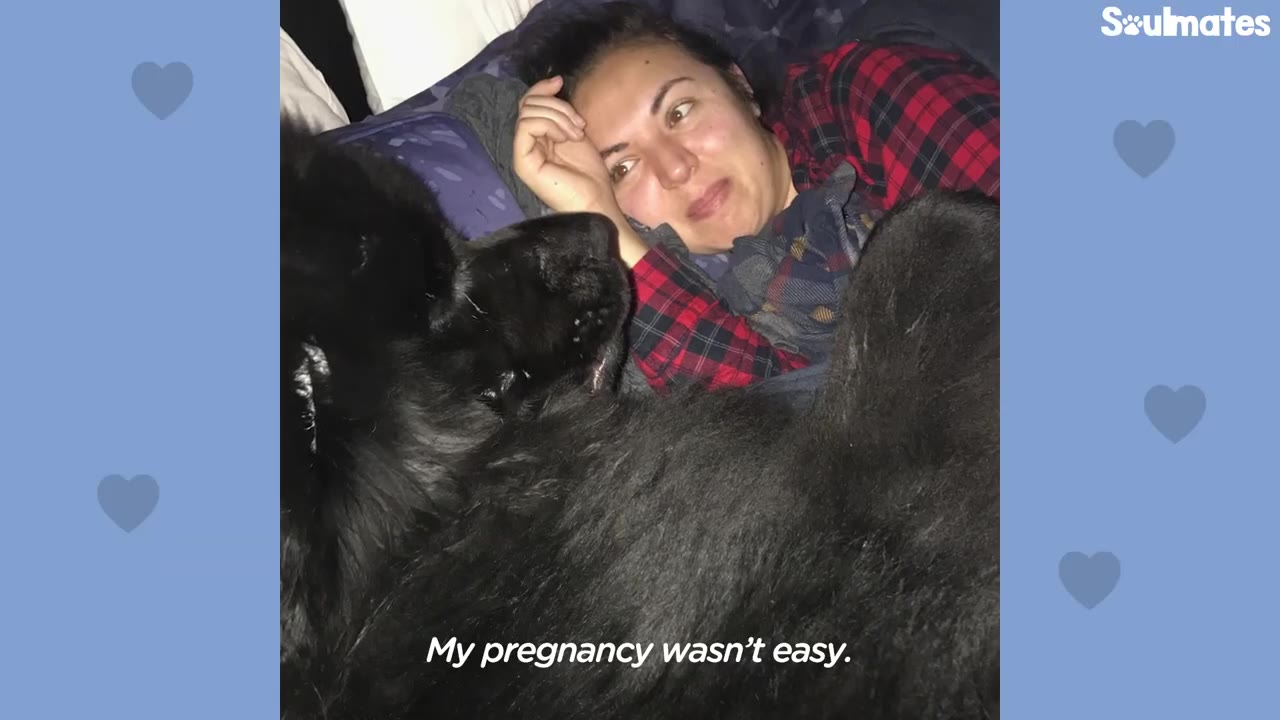A woman in a red plaid shirt lies in bed looking affectionately at a large black dog resting beside her.
