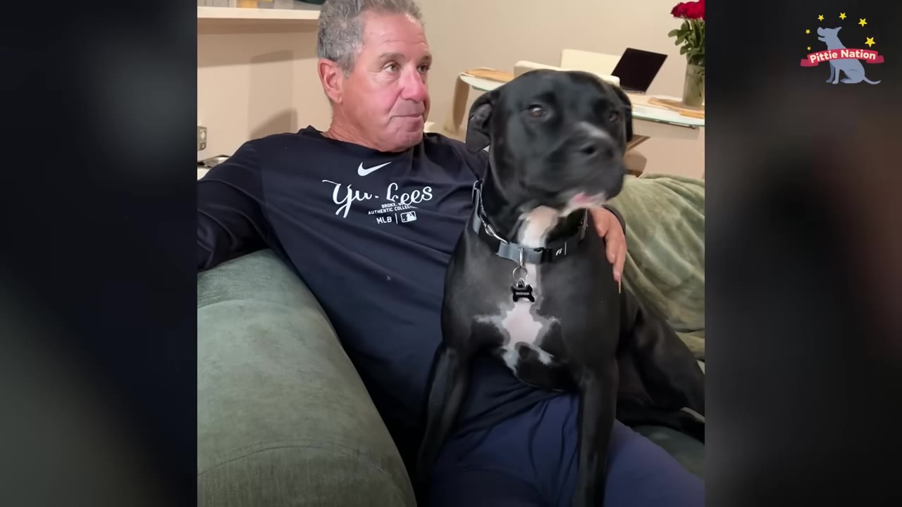 A black dog sits on a couch next to a man who rests his hand gently on the dog.
