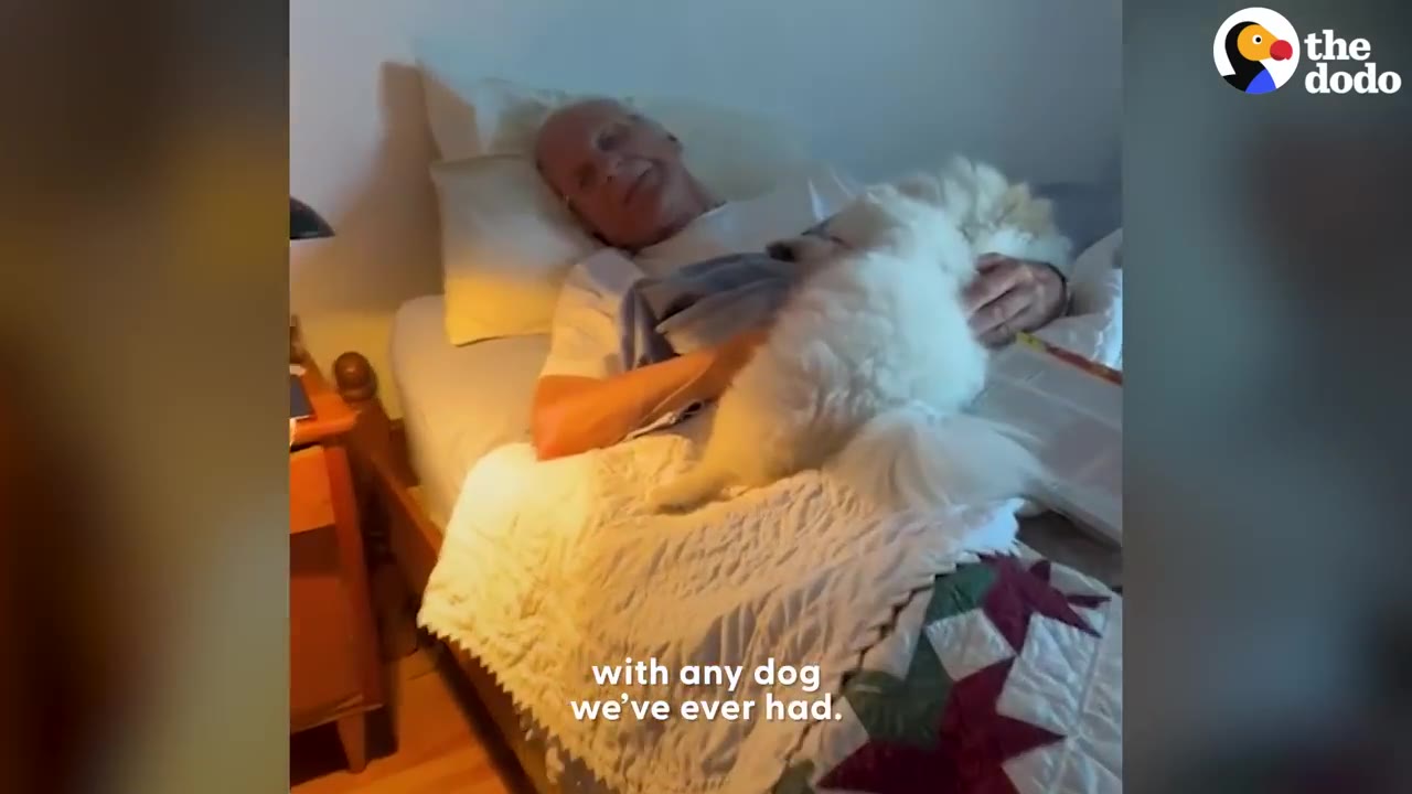 An elderly man lies in bed smiling as a fluffy white dog rests on his chest.
