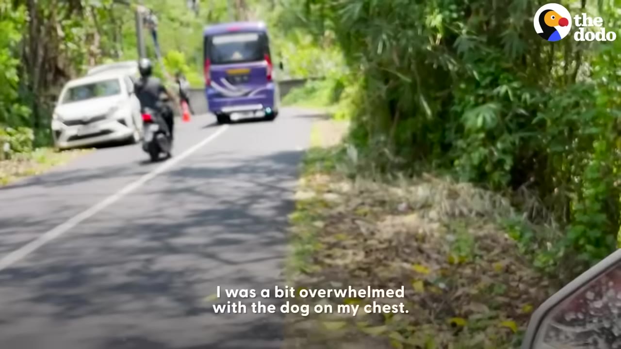 A person riding a scooter down a paved road surrounded by lush trees and greenery.