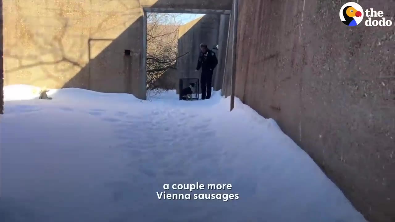 A police officer standing next to an animal crate in a snowy concrete corridor.