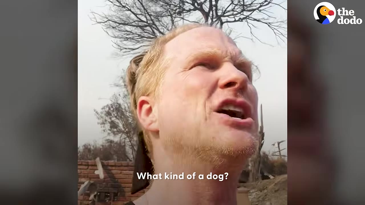 A blond man looks up and calls out amidst burnt trees and brick rubble.