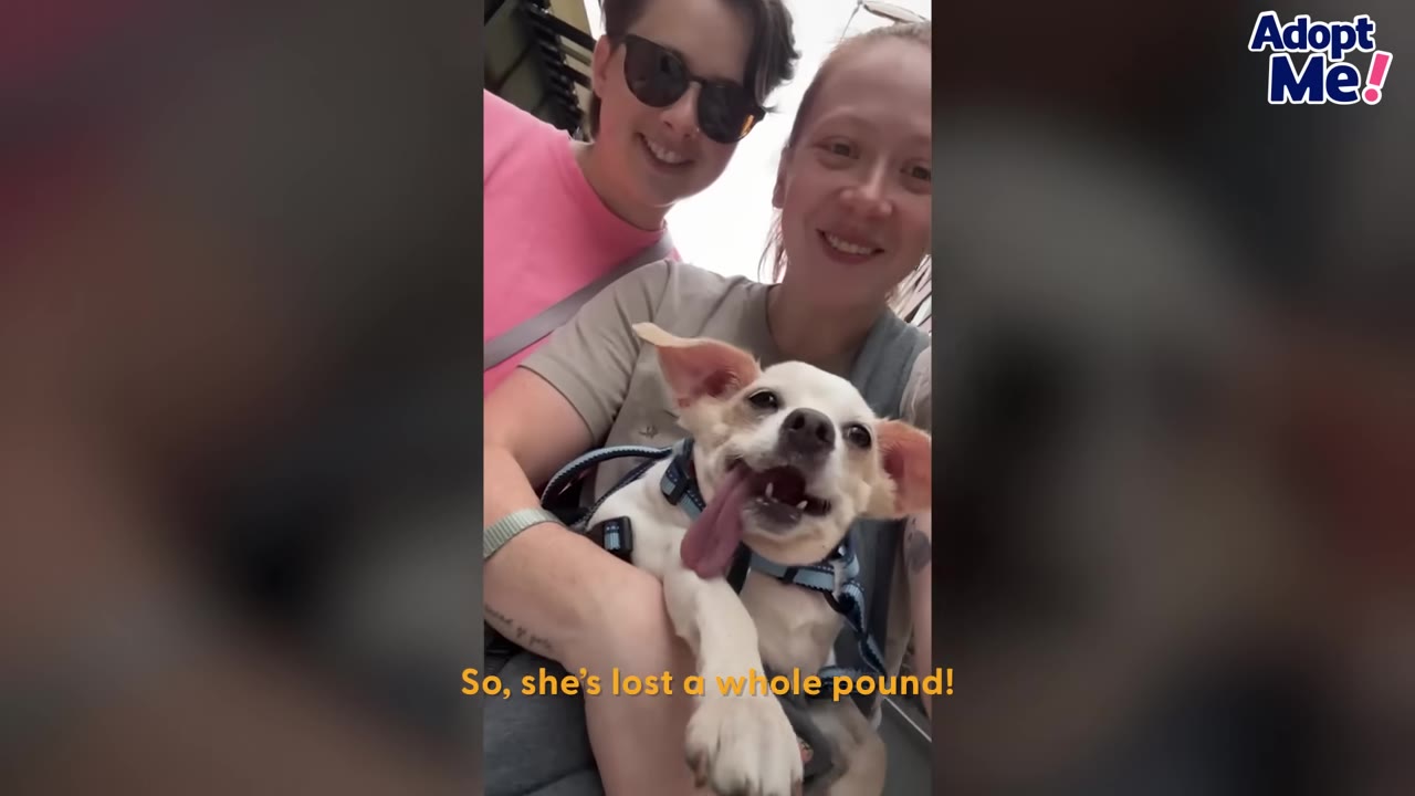 Two people smiling outdoors as one holds a small white dog who is looking happy with its tongue hanging out.