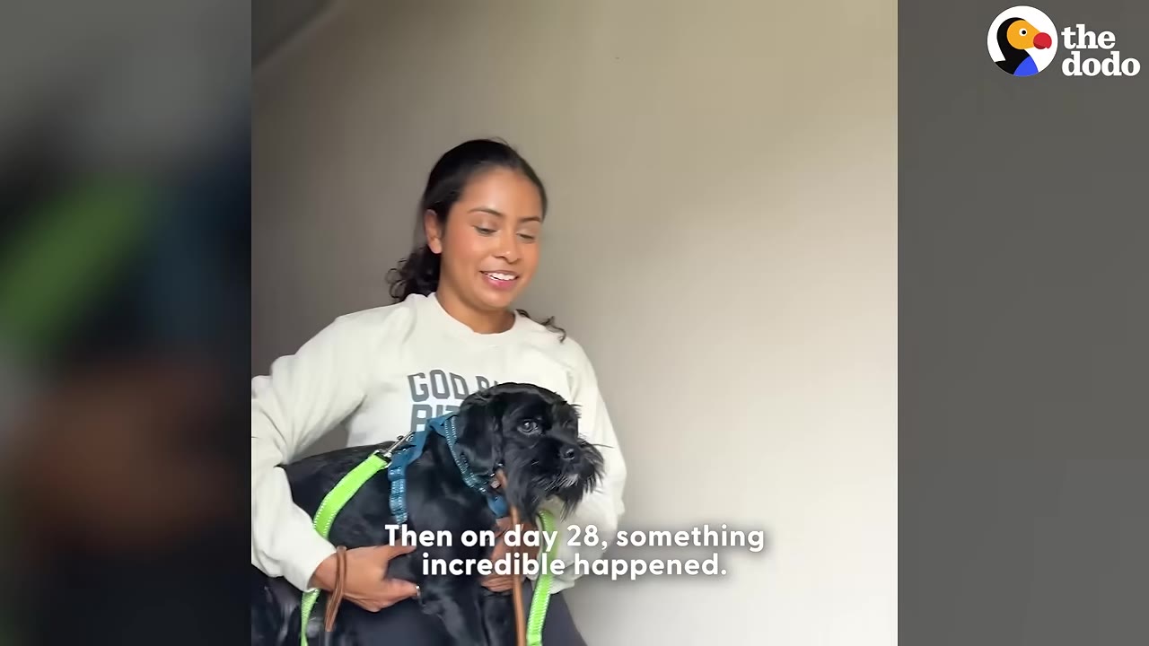 A smiling woman in a white sweatshirt holds a small black dog wearing a blue harness and green leash indoors.