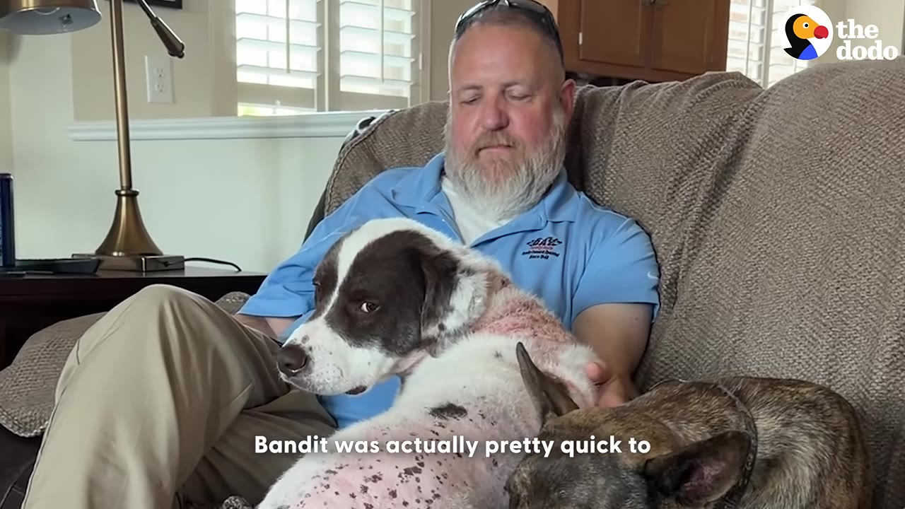 A man with a beard sits on a couch with a brown and white dog resting on his lap, showing signs of skin irritation on its back.