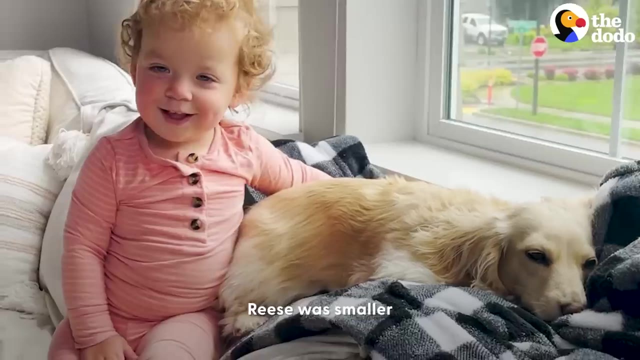 A toddler in pink pajamas sits next to a small light-colored dog resting on a black and white blanket by a window.