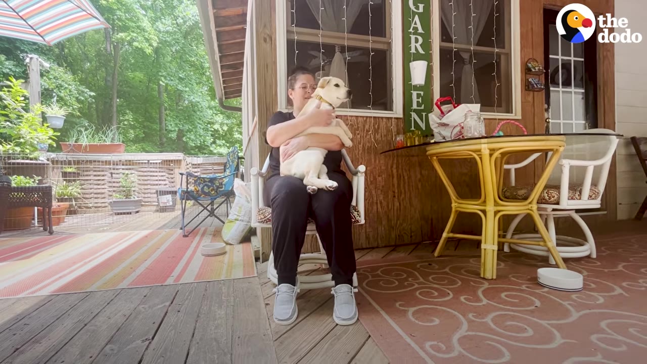 A woman sitting in a porch rocking chair holding a small, light-colored puppy on her lap.