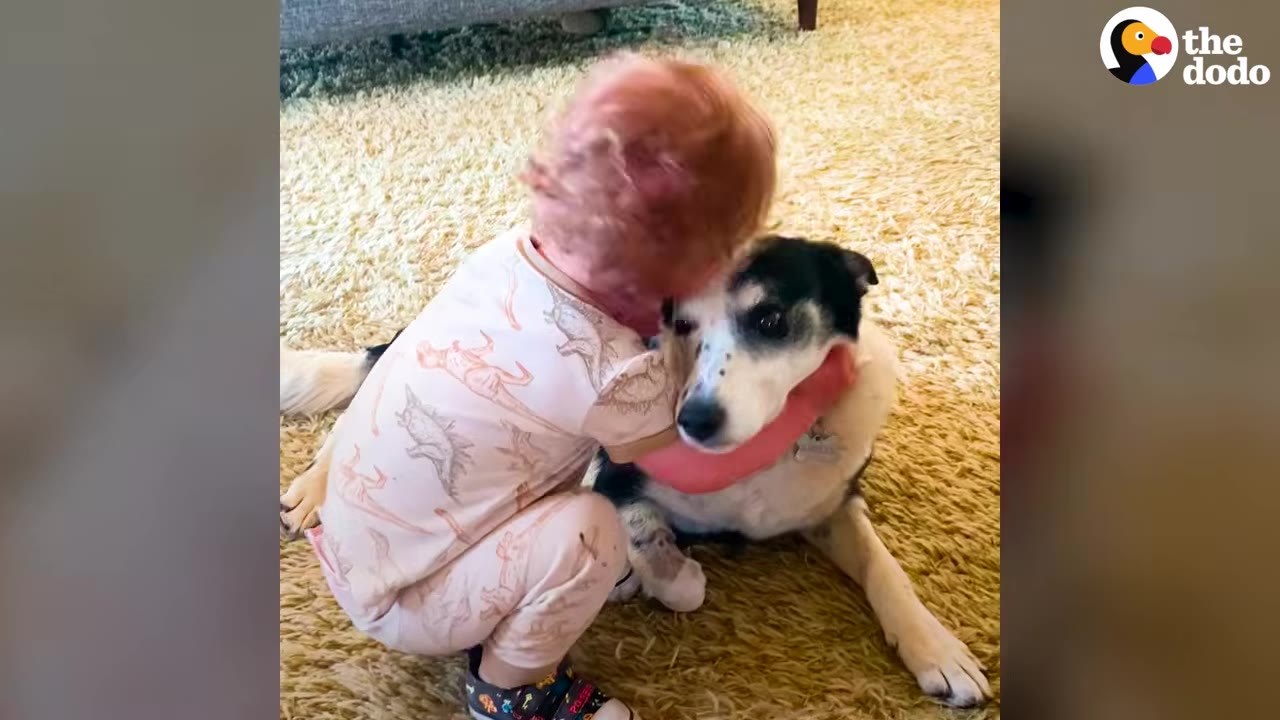 A young child in dinosaur pajamas hugging a black and white dog on a shaggy rug indoors.