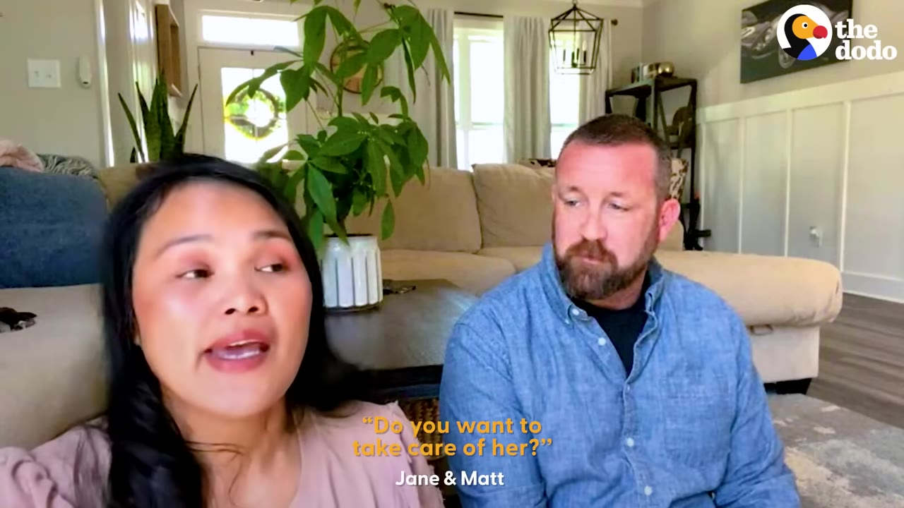 A man and a woman sit in their living room, talking about adopting a pet.
