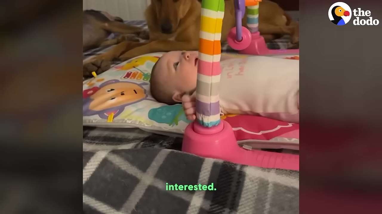 A newborn baby lies on a colorful play mat while a brown dog watches attentively from behind.