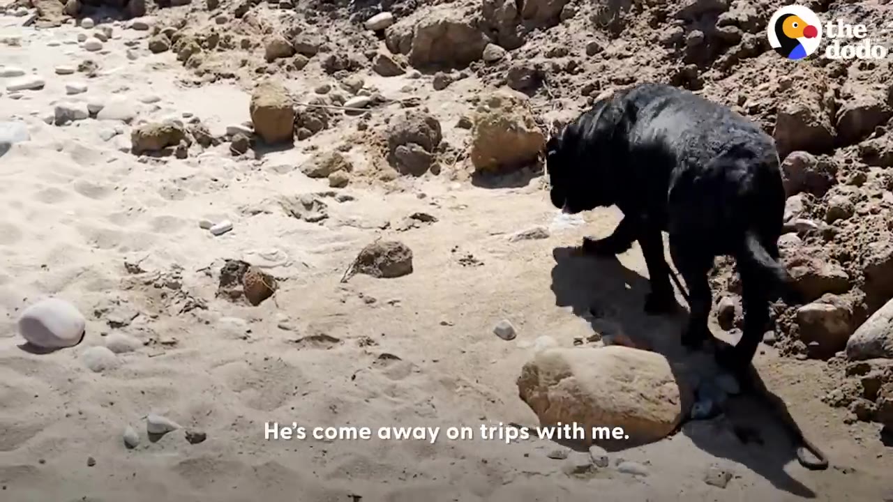 A black dog walks across a sandy, rocky shore on an outdoor trip.