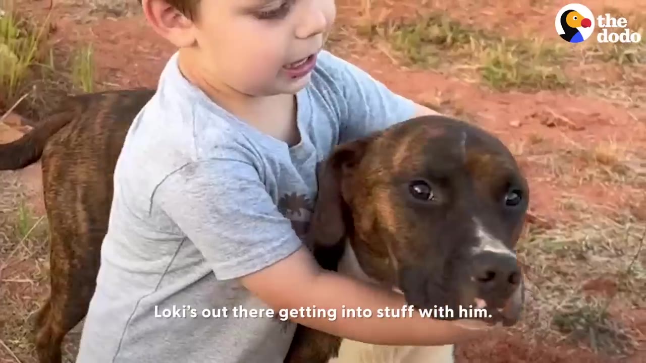 A young boy hugging a brindle dog around the neck outdoors.