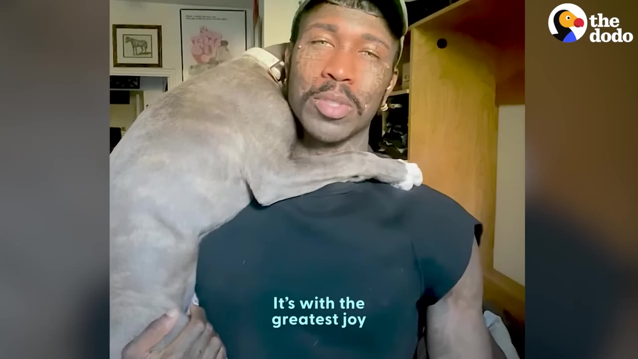 A man wearing a green cap holds a grey dog draped over his shoulder.