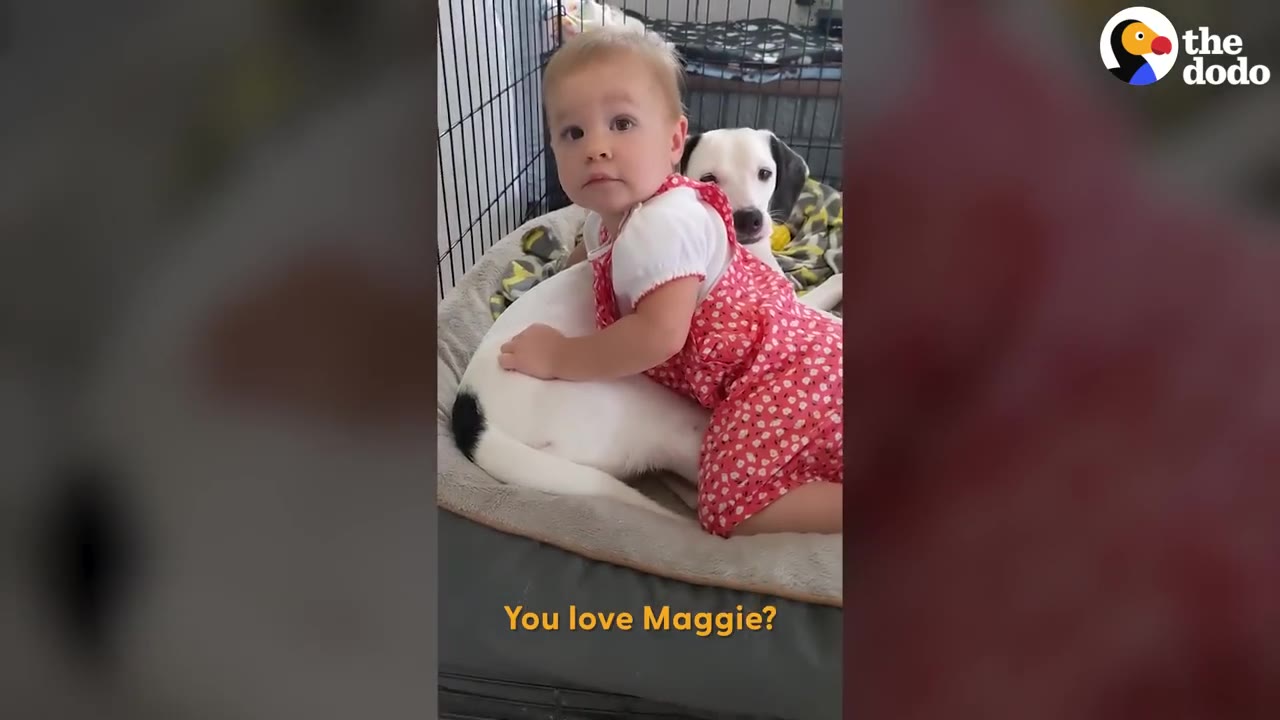 A young toddler in a red floral dress hugs a white dog with black spots while sitting together on a dog bed.