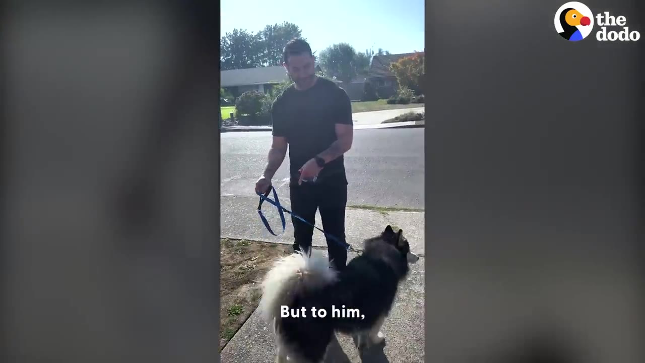 A man holding a leash stands on a driveway next to a fluffy black and white dog looking out toward the street.