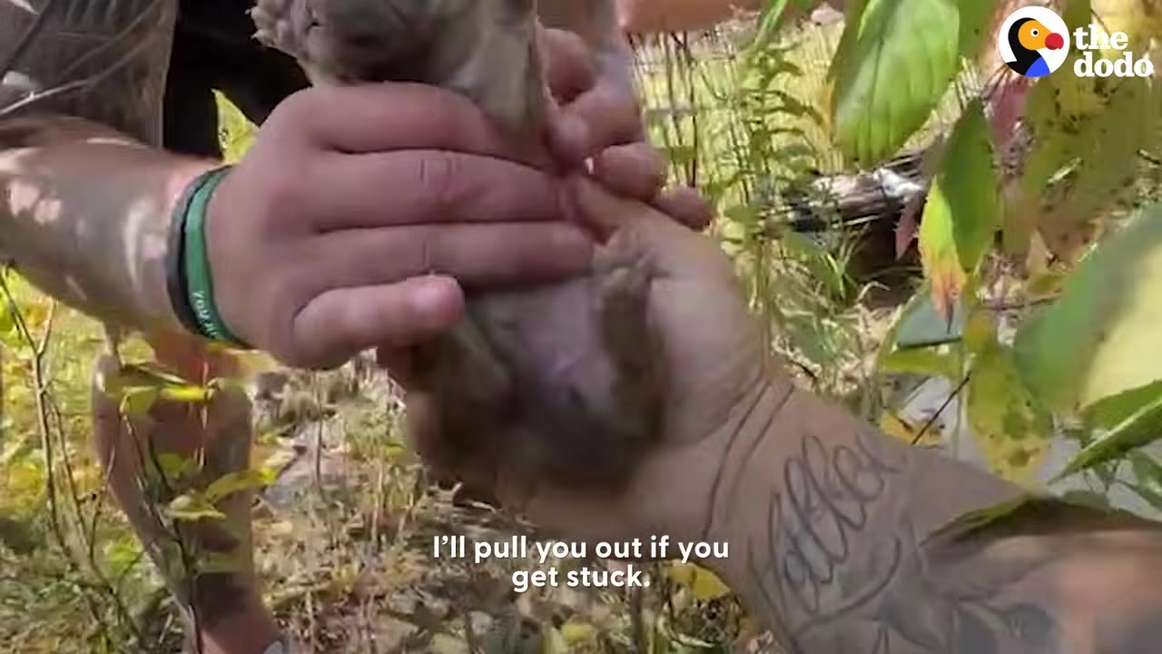 A person handing a tiny puppy to another person outdoors near foliage.