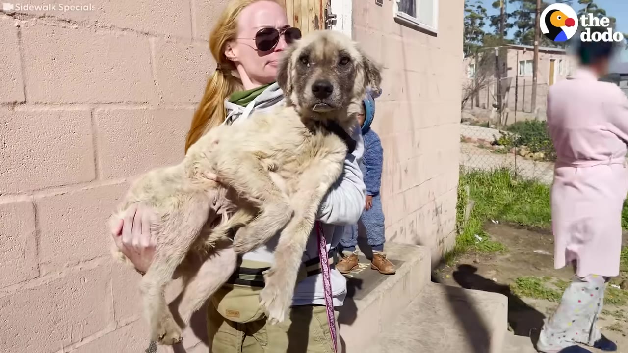 A woman wearing sunglasses holds a large, light-colored dog in her arms outdoors.
