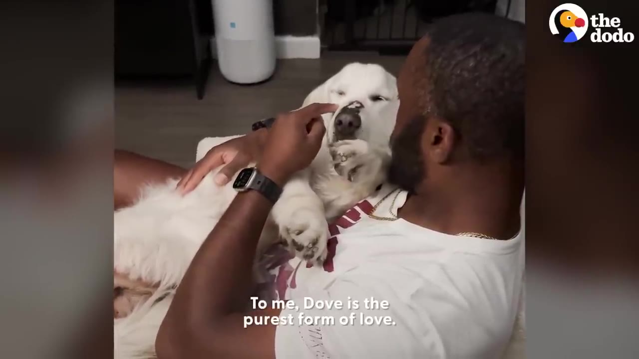 A man cradles a white dog in his lap, gently touching her nose as she rests comfortably with her eyes closed.