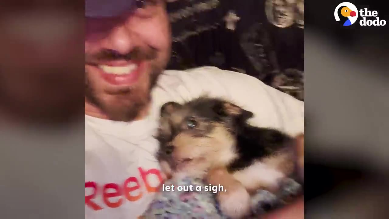 A smiling man holding a tiny black and tan puppy against his white t-shirt while relaxing.