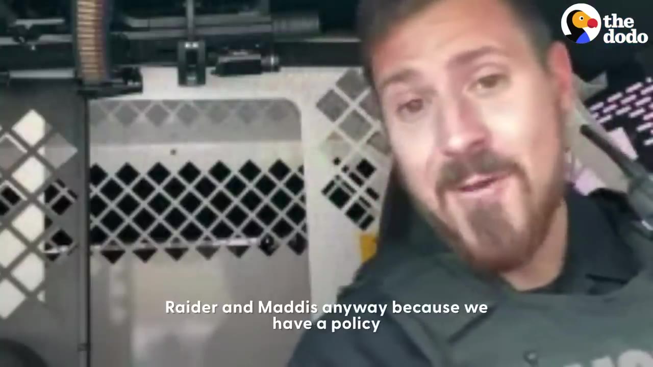 A male dog handler in uniform talking inside a vehicle.