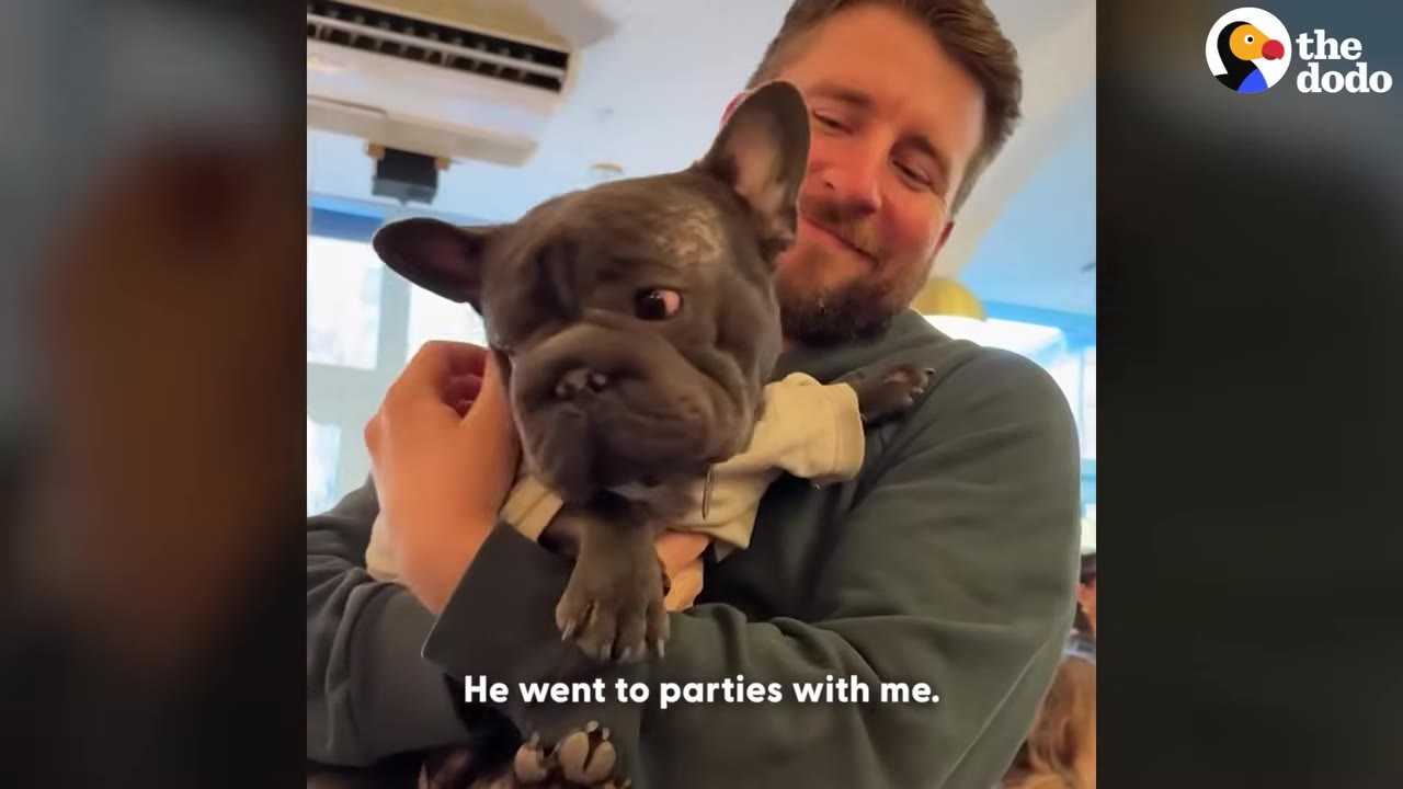 A smiling man holding a French bulldog wearing a small shirt, with the caption 'He went to parties with me.'