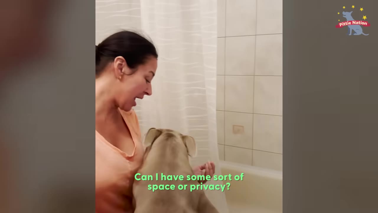 A woman talking to a tan dog sitting close to her in a bathroom next to a shower curtain.