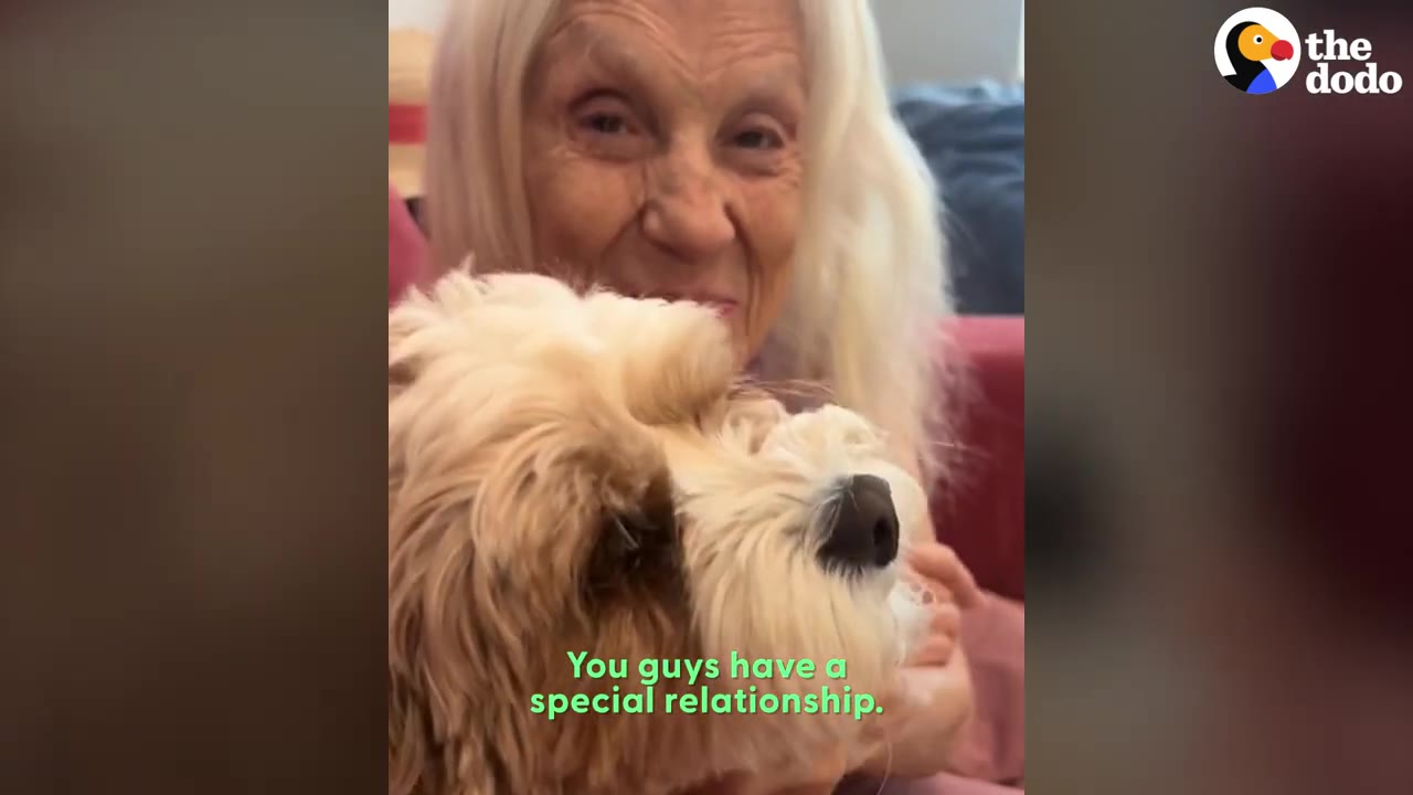 An elderly woman with long white hair smiling while holding a small fluffy dog close to her face.