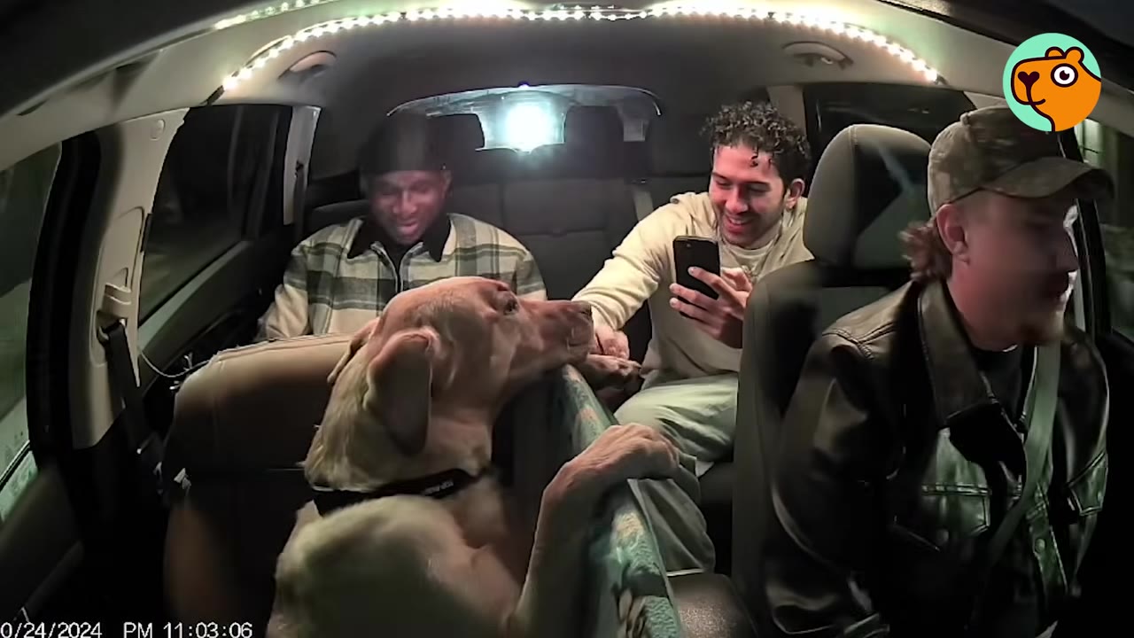 A yellow dog resting his head on the center console inside a car, looking back at smiling passengers in the rear seat.