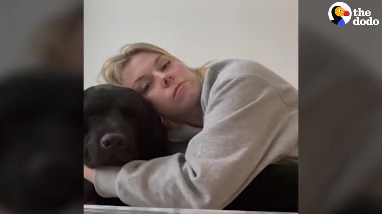 A woman in a grey sweatshirt resting her head on and hugging a black dog.
