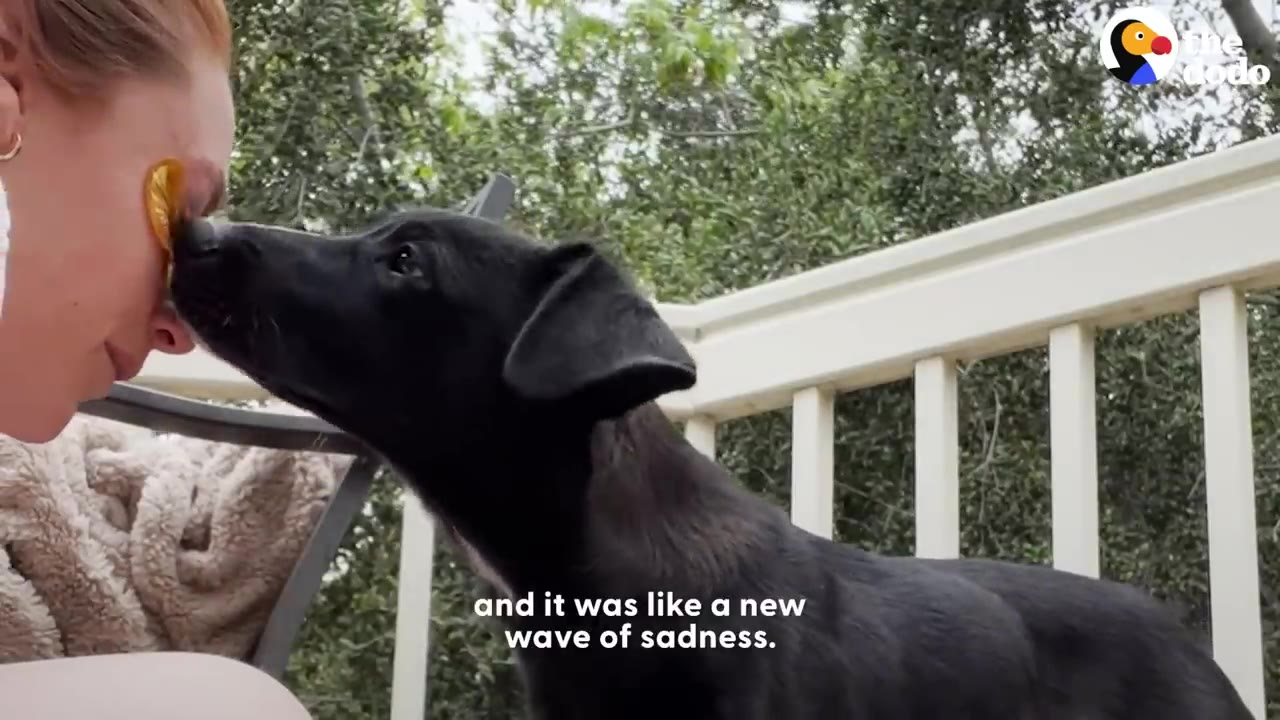 A black puppy gently nuzzles the nose of a woman sitting outdoors on a balcony.