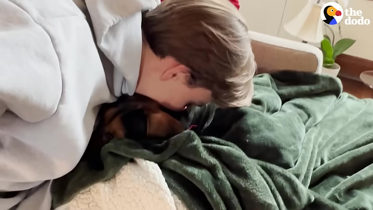 A person in a grey hoodie leans down to gently rest their head against a brown and black dog snuggled under a green blanket.