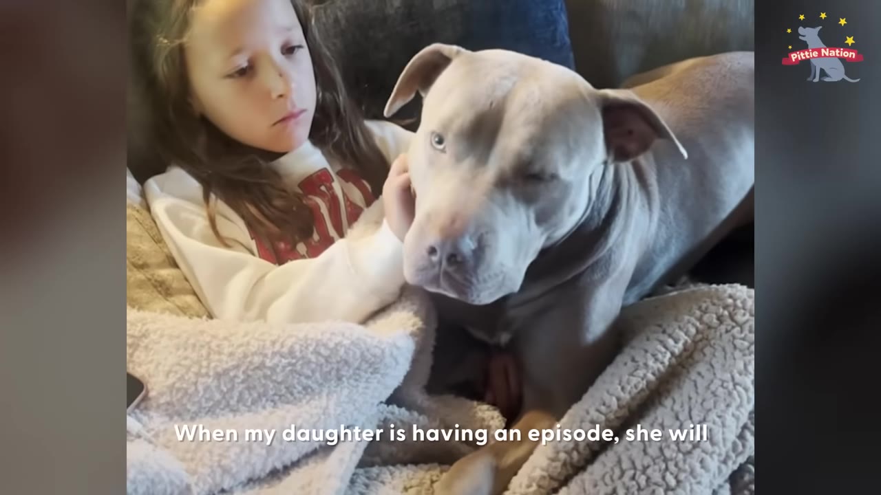 A young girl sitting under a cozy blanket on a couch gently rests her hand on the side of a light gray dog's face as the dog leans close to her.