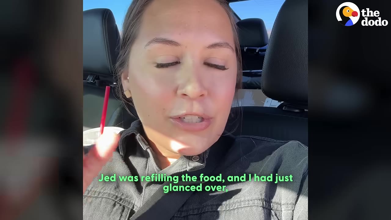A close-up of a woman speaking inside a car, with a subtitle that reads, 'Jed was refilling the food, and I had just glanced over,'.